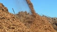 Madeira pode vir a pagar pela entrega da `biomassa`