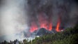 Vulcão nas Canárias destrói casas mas sem vítimas