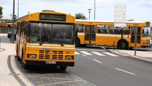 Imagem de Horários do Funchal e SAM vão reduzir viagens nas carreiras menos utilizadas (áudio)