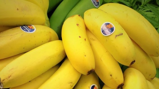 Fruta nas refeições escolares vai ser de época