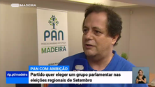 Imagem de PAN quer ser solução governativa nas eleições regionais