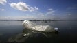 Portugal participa em projeto de plástico nos oceanos