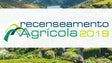 Resultados definitivos do Recenseamento Agrícola 2019