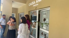 Imagem de Câmara oferece vacinação dos animais de estimação (vídeo)