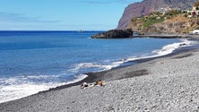 Bom tempo em dia de feriado levou vários às ruas e estabelecimentos do Funchal (vídeo)