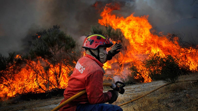 Imagem de 25 bombeiros do Continente chegam amanhã à Madeira