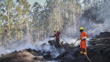 Imagem de Plano Operacional de Combate entra hoje em vigor