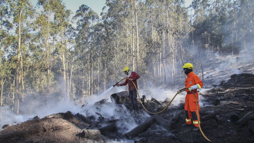 Imagem de Plano Operacional de Combate entra hoje em vigor