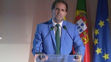 Imagem de Há emigrantes portugueses que precisam de ajuda (vídeo)