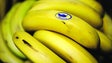 Imagem de Governo da Madeira não admite qualquer ingerência externa no sector da banana