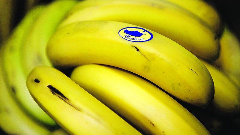 Governo da Madeira não admite qualquer ingerência externa no sector da banana