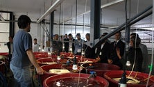 Imagem de PSD organiza encontro dedicado aos oceanos