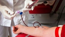 Imagem de Mais de 5 mil dádivas de sangue por ano na Madeira