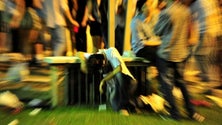 Imagem de PSP surpreende menores embriagados em festa de estudantes do Liceu