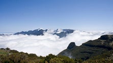 EcoMusicalis este domingo no Miradouro da Bica da Cana