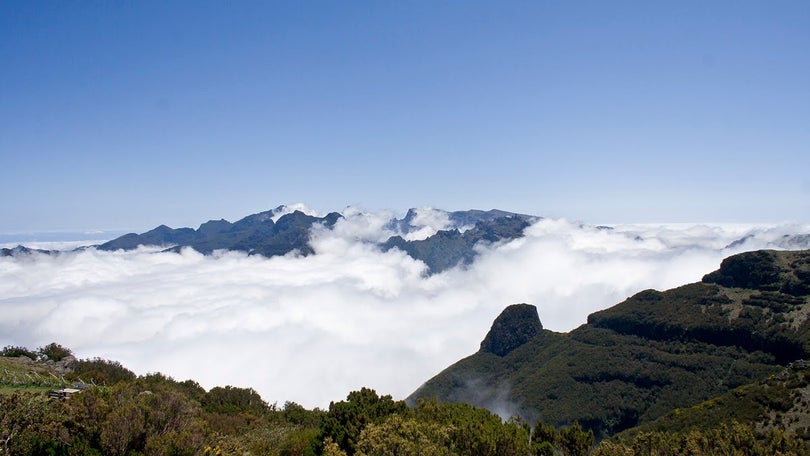 Imagem de EcoMusicalis este domingo no Miradouro da Bica da Cana