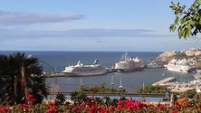 Imagem de Madeira recebe três gigantes dos mares