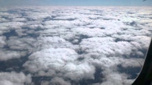 Imagem de 12 Voos afectados no aeroporto da Madeira