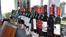Imagem de Vinhos dos Açores em destaque no Praia Wine festival (Vídeo)