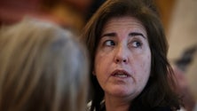 Imagem de Ministra aponta para menos 6 mil desempregados inscritos no IEFP em fevereiro