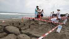 Imagem de Mais de 40 crianças criam “Esculturas na Areia” [Vídeo]