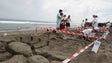 Mais de 40 crianças criam “Esculturas na Areia” [Vídeo]