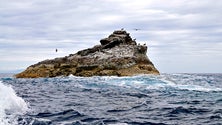 Imagem de Região quer antecipar meta europeia de áreas marinha protegida (Vídeo)