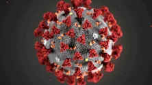 Imagem de Covid-19: Pandemia provocou mais 300 mil mortes na UE do que as oficiais