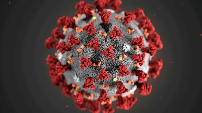 Imagem de Covid-19: Pandemia provocou mais 300 mil mortes na UE do que as oficiais