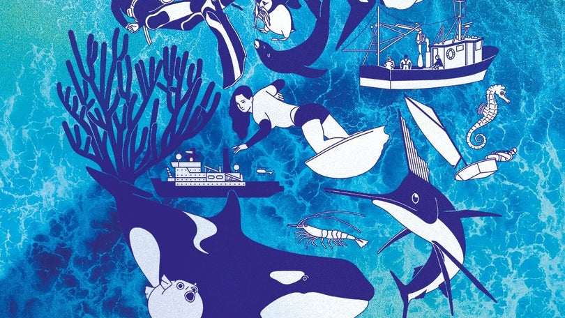Imagem de Museu de Marinha recebe exposição «Océan»