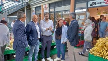 Imagem de PSD elogia as políticas do Governo de apoio aos produtores e à produção regional (áudio)
