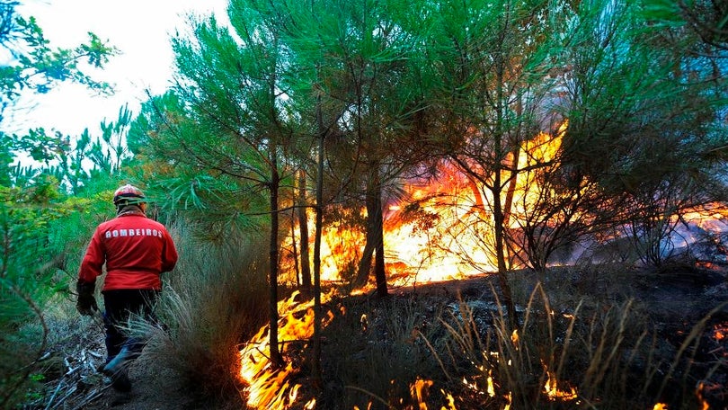 Imagem de Sete corporações da Madeira combatem incêndio na Camacha que continua ativo