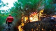 Sete corporações da Madeira combatem incêndio na Camacha que continua ativo