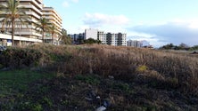 Imagem de Câmara do Funchal vai construir um jardim e uma alameda no Amparo