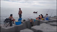 Imagem de Pesca à dourada continua em alta (vídeo)