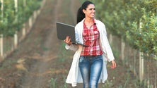 Imagem de Calheta acolhe conferência sobre jovens agricultores