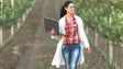 Imagem de Calheta acolhe conferência sobre jovens agricultores
