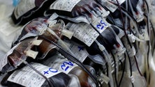 Imagem de Dadores de sangue de São Miguel apelam à adesão dos jovens (Som)