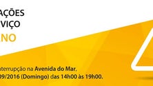 Imagem de Horários do Funchal altera carreiras urbanas