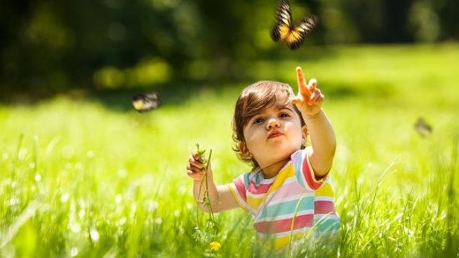 Espaços verdes protegem crianças do desenvolvimento de asma e rinite alérgica, indica estudo