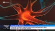 Imagem de Albuquerque defende que Estados devem regulamentar a inteligência artificial (vídeo)