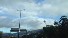 Imagem de Combustíveis mais caros na próxima semana na Madeira