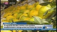 Festa do Limão na freguesia da Ilha contou com muitos madeirenses e emigrantes (Vídeo)