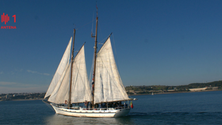 Imagem de Navio-escola Polar na Madeira até domingo
