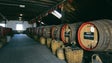 Quebras de 77% nas vendas do vinho Madeira (vídeo)