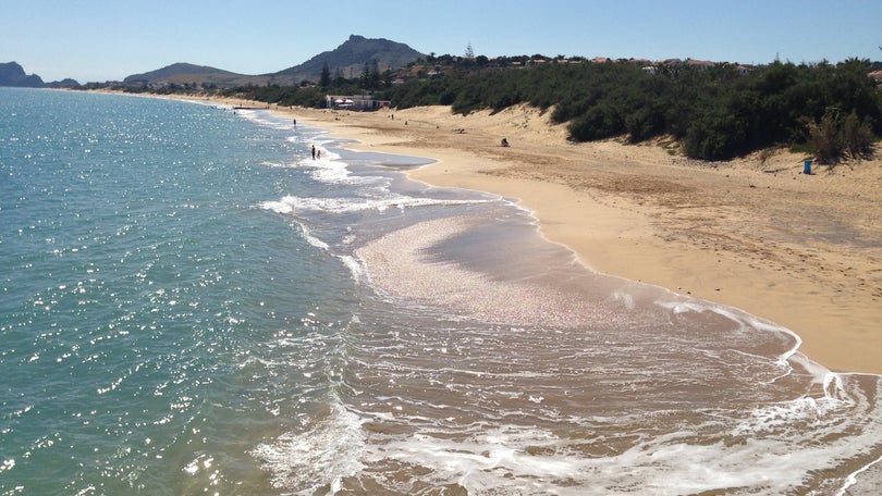 Imagem de Casa onde Alberto João Jardim passava férias vai passar a ser utilizada para fins turísticos