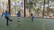 Imagem de Obras no Polidesportivo do Bairro da Nazaré custaram 220 mil euros