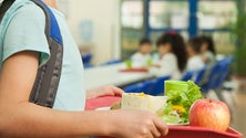 Imagem de Escolas de acolhimento serviram 37 mil refeições diárias