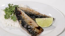 Imagem de Mais consumo de peixe nas escolas da Região (áudio)