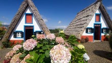 Imagem de Madeira entre os principais destinos turísticos de 2017